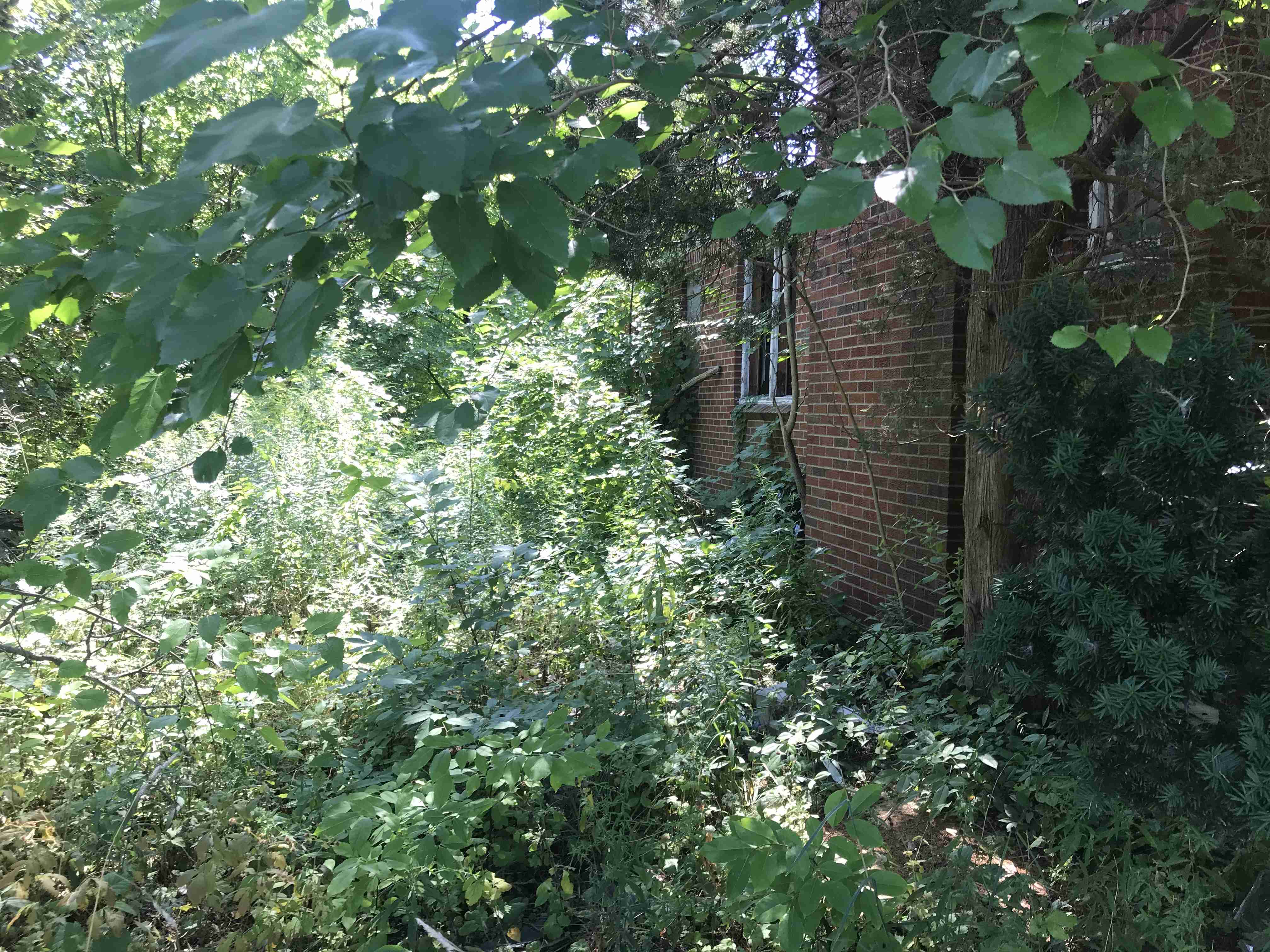 Photo Aug 21, 1 13 22 PM.jpg